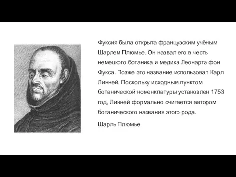 Фуксия была открыта французским учёным Шарлем Плюмье. Он назвал его в честь