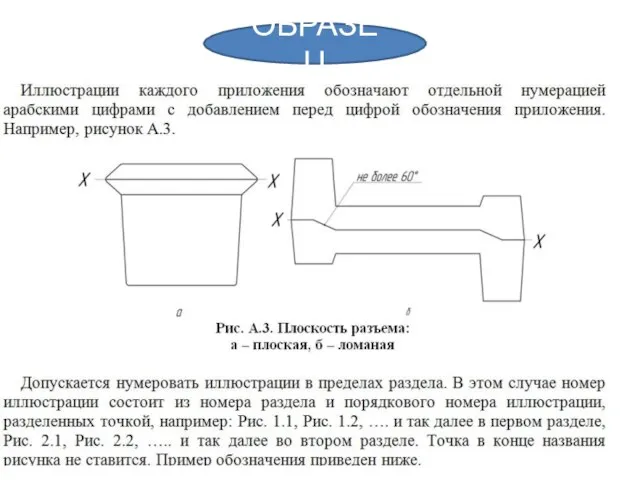 ОБРАЗЕЦ