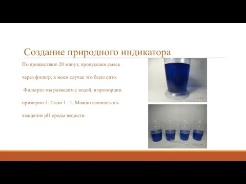 Создание природного индикатора По прошествию 20 минут, пропускаем смесь через фильтр, в