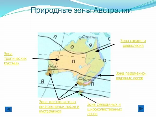 Природные зоны Австралии Зона саванн и редколесий Зона тропических пустынь Зона жестколистных