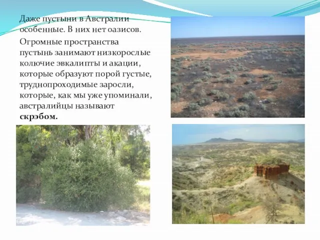 Даже пустыни в Австралии особенные. В них нет оазисов. Огромные пространства пустынь
