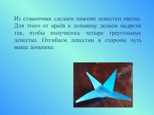 Из стаканчика сделаем нижние лепестки цветка. Для этого от краёв к донышку