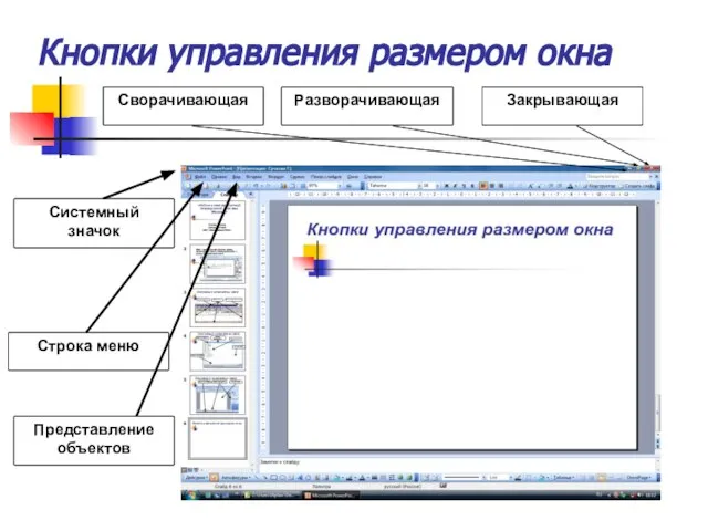 Кнопки управления размером окна Сворачивающая Разворачивающая Закрывающая Системный значок Строка меню Представление объектов