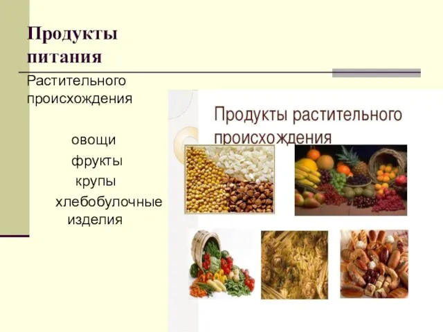 Продукты питания Растительного происхождения овощи фрукты крупы хлебобулочные изделия