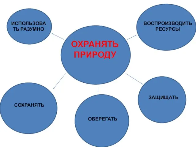 ИСПОЛЬЗОВАТЬ РАЗУМНО ОХРАНЯТЬ ПРИРОДУ ВОСПРОИЗВОДИТЬ РЕСУРСЫ СОХРАНЯТЬ ОБЕРЕГАТЬ ЗАЩИЩАТЬ