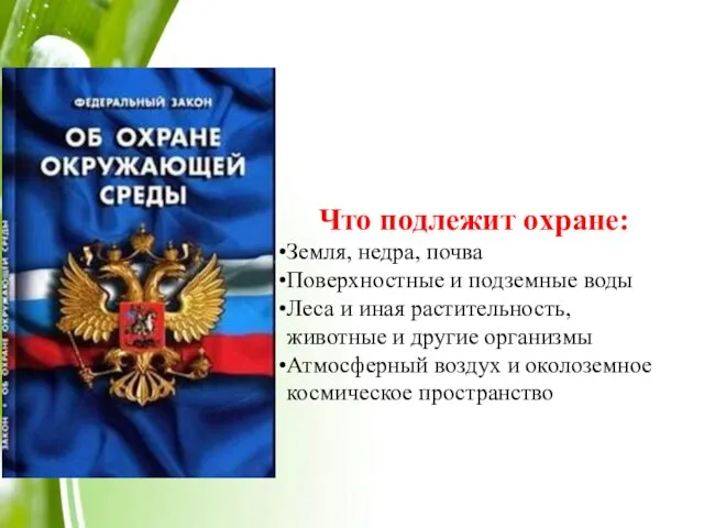 Что подлежит охране: Земля, недра, почва Поверхностные и подземные воды Леса и