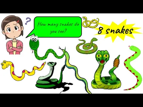 How many snakes do you see? 8 snakes