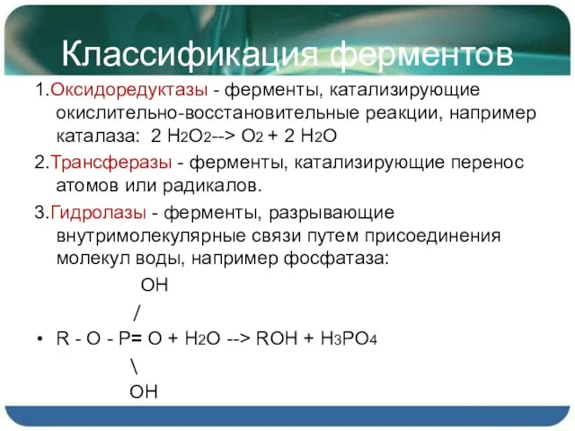 Классификация ферментов 1.Оксидоредуктазы - ферменты, катализирующие окислительно-восстановительные реакции, например каталаза: 2 H2O2-->