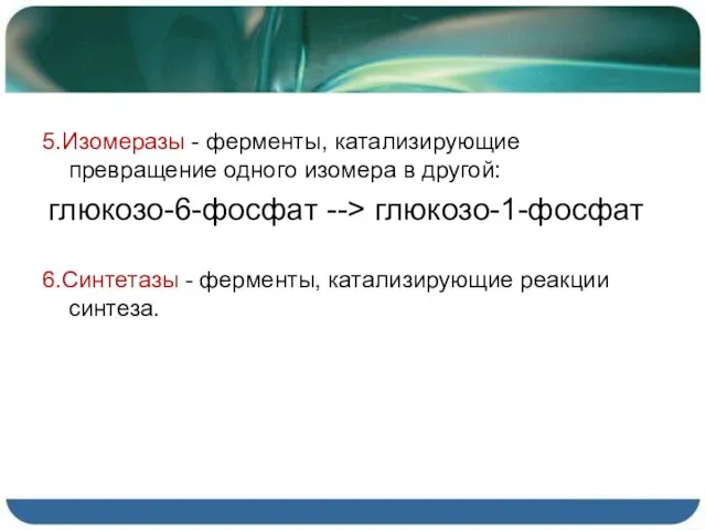 5.Изомеразы - ферменты, катализирующие превращение одного изомера в другой: глюкозо-6-фосфат --> глюкозо-1-фосфат