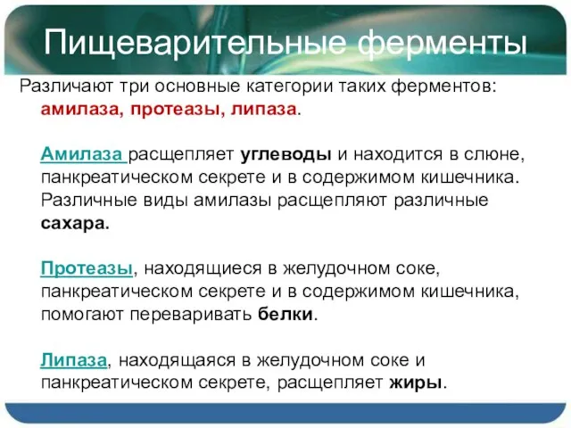 Пищеварительные ферменты Различают три основные категории таких ферментов: амилаза, протеазы, липаза. Амилаза