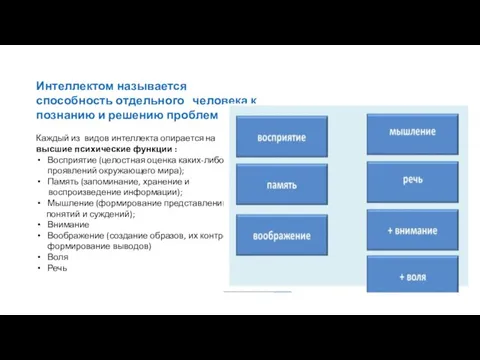 Интеллектом называется способность отдельного человека к познанию и решению проблем Каждый из