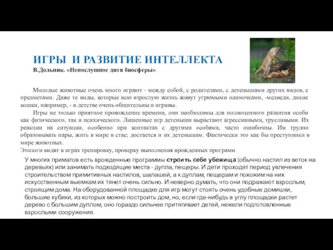 ИГРЫ И РАЗВИТИЕ ИНТЕЛЛЕКТА В.Дольник. «Непослушное дитя биосферы» Молодые животные очень много