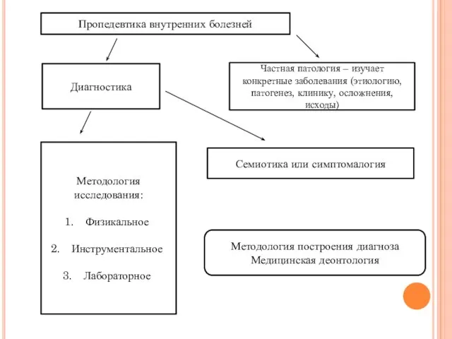 Пропедевтика внутренних болезней Диагностика Частная патология – изучает конкретные заболевания (этиологию, патогенез,