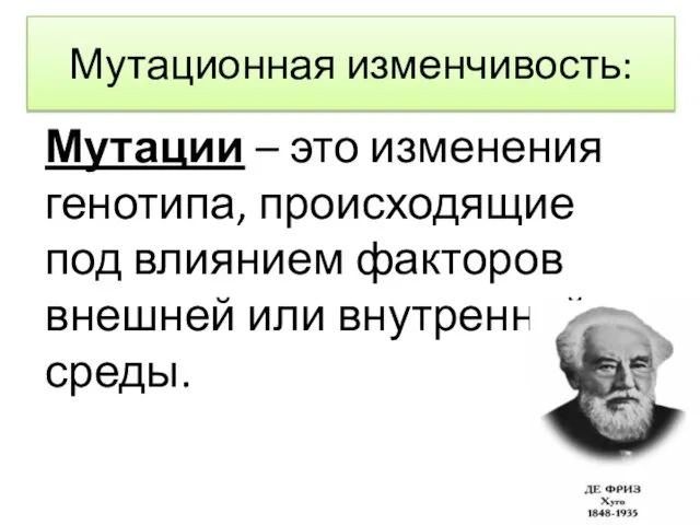 Мутационная изменчивость: Мутации – это изменения генотипа, происходящие под влиянием факторов внешней или внутренней среды.