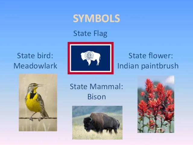SYMBOLS State Flag State bird: State flower: Meadowlark Indian paintbrush State Mammal: Bison