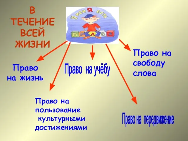 Право на передвижение Право на учёбу Право на свободу слова Право на