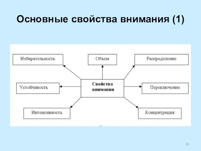 Основные свойства внимания (1)