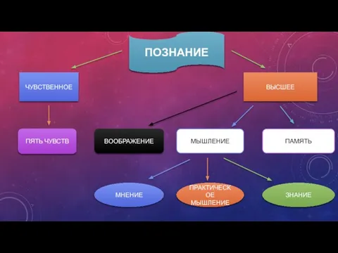 ПОЗНАНИЕ ЧУВСТВЕННОЕ ВЫСШЕЕ ПЯТЬ ЧУВСТВ ВООБРАЖЕНИЕ МЫШЛЕНИЕ ПАМЯТЬ МНЕНИЕ ПРАКТИЧЕСКОЕ МЫШЛЕНИЕ ЗНАНИЕ