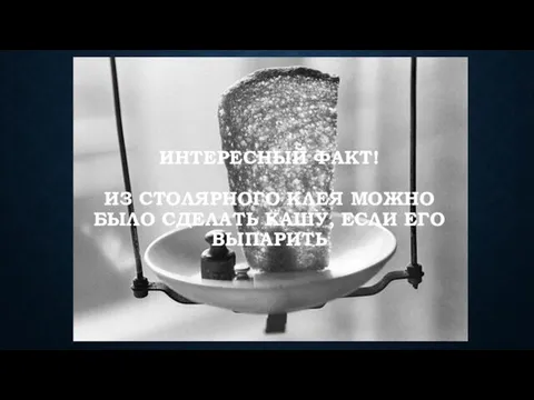 ИНТЕРЕСНЫЙ ФАКТ! ИЗ СТОЛЯРНОГО КЛЕЯ МОЖНО БЫЛО СДЕЛАТЬ КАШУ, ЕСЛИ ЕГО ВЫПАРИТЬ