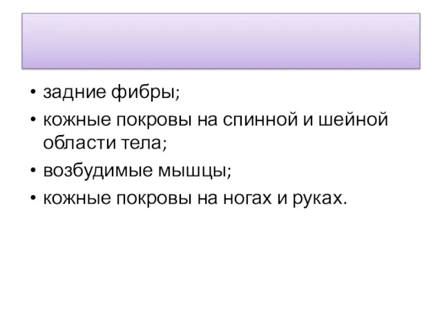 задние фибры; кожные покровы на спинной и шейной области тела; возбудимые мышцы;