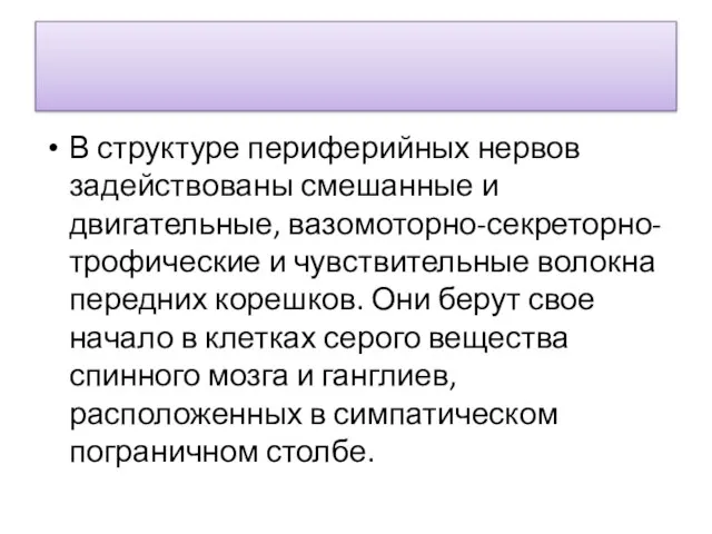 В структуре периферийных нервов задействованы смешанные и двигательные, вазомоторно-секреторно-трофические и чувствительные волокна