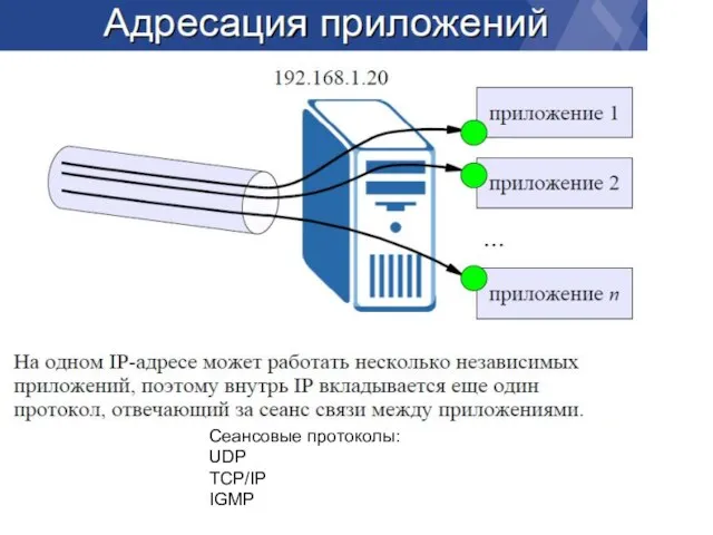 Сеансовые протоколы: UDP TCP/IP IGMP