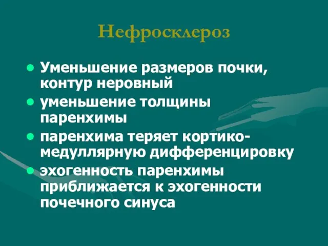 Нефросклероз Уменьшение размеров почки, контур неровный уменьшение толщины паренхимы паренхима теряет кортико-медуллярную