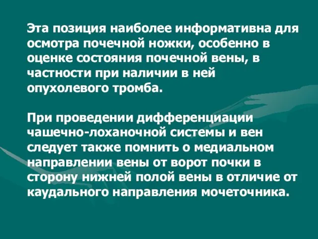 Эта позиция наиболее информативна для осмотра почечной ножки, особенно в оценке состояния