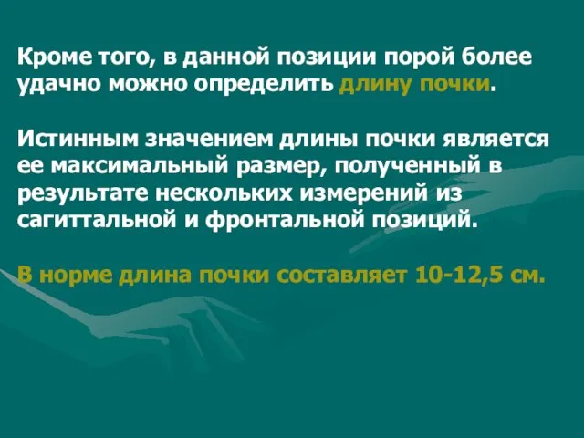 Кроме того, в данной позиции порой более удачно можно определить длину почки.