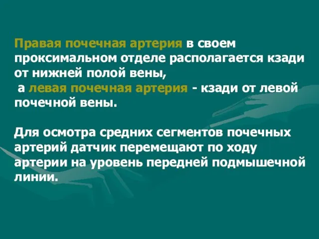 Правая почечная артерия в своем проксимальном отделе располагается кзади от нижней полой