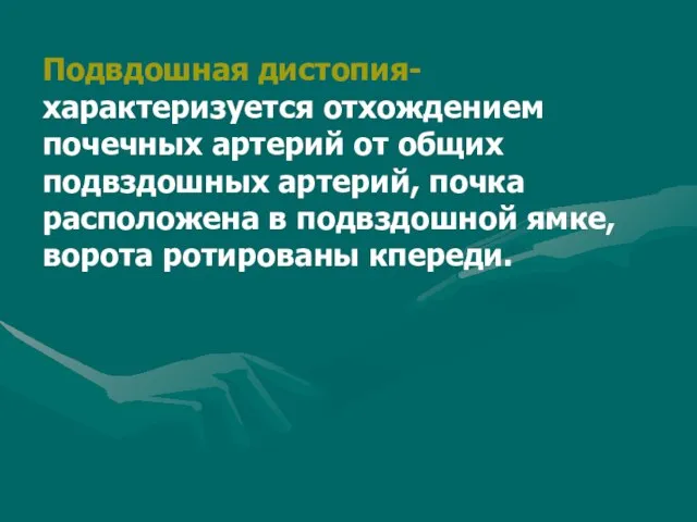 Подвдошная дистопия- характеризуется отхождением почечных артерий от общих подвздошных артерий, почка расположена