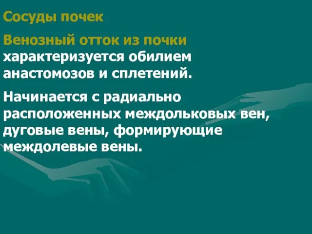 Сосуды почек Венозный отток из почки характеризуется обилием анастомозов и сплетений. Начинается