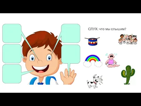 СЛУХ: что мы слышим?