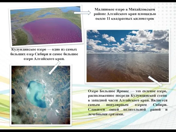 Малиновое озеро в Михайловском районе Алтайского края площадью около 11 квадратных километров