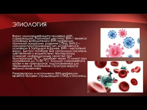 ЭТИОЛОГИЯ Вирус иммунодефицита человека ДНК-содержащий. Различают два типа: ВИЧ-1 является основным возбудителем