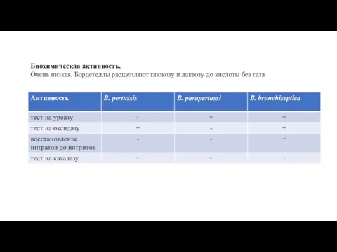 Биохимическая активность. Очень низкая. Бордетеллы расщепляют глюкозу и лактозу до кислоты без газа