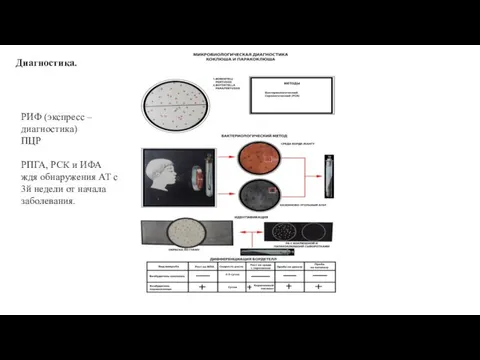 Диагностика. РИФ (экспресс – диагностика) ПЦР РПГА, РСК и ИФА ждя обнаружения