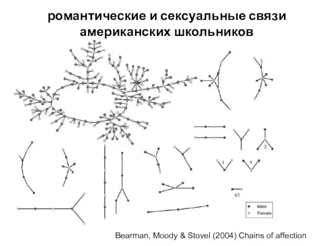 романтические и сексуальные связи американских школьников Bearman, Moody & Stovel (2004) Chains of affection