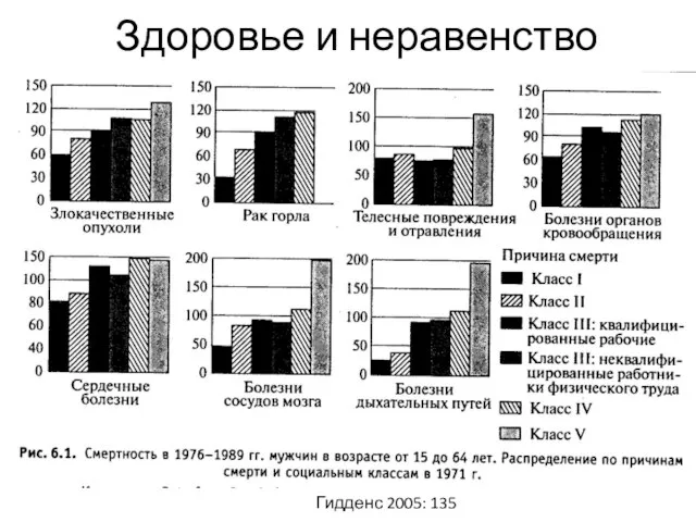 Здоровье и неравенство Гидденс 2005: 135