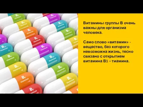 Витамины группы В очень важны для организма человека. Само слово «витамин» -