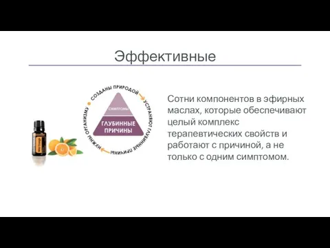 Эффективные Сотни компонентов в эфирных маслах, которые обеспечивают целый комплекс терапевтических свойств