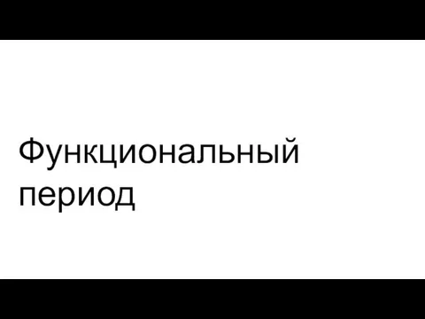 Функциональный период