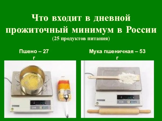Что входит в дневной прожиточный минимум в России (25 продуктов питания) Пшено