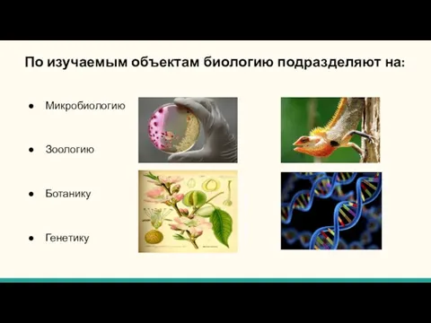 По изучаемым объектам биологию подразделяют на: Микробиологию Зоологию Ботанику Генетику