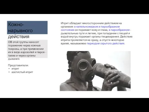 Представители: иприт азотистый иприт Кожно-нарывного действия ОВ этой группы наносят поражение через