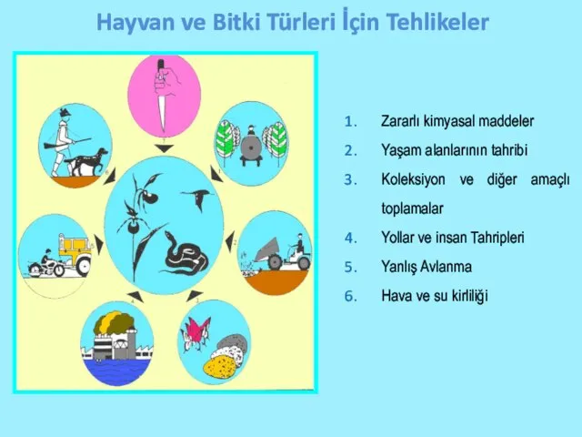 Hayvan ve Bitki Türleri İçin Tehlikeler Zararlı kimyasal maddeler Yaşam alanlarının tahribi