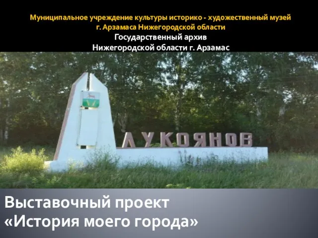 Город Лукоянов