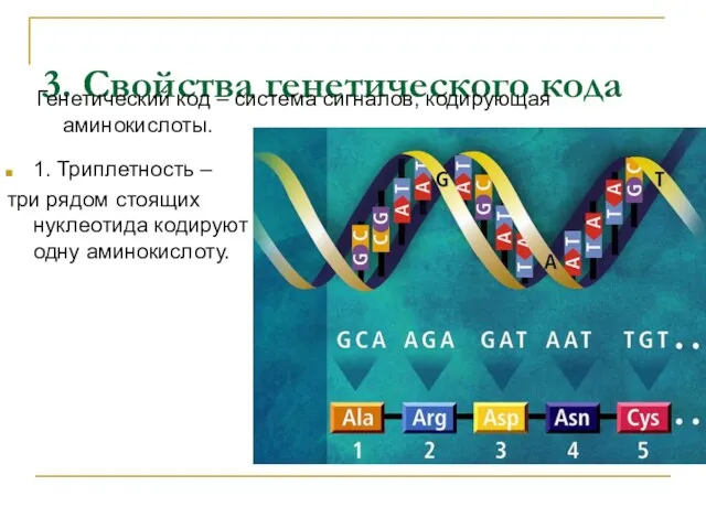 3. Свойства генетического кода Генетический код – система сигналов, кодирующая аминокислоты. 1.