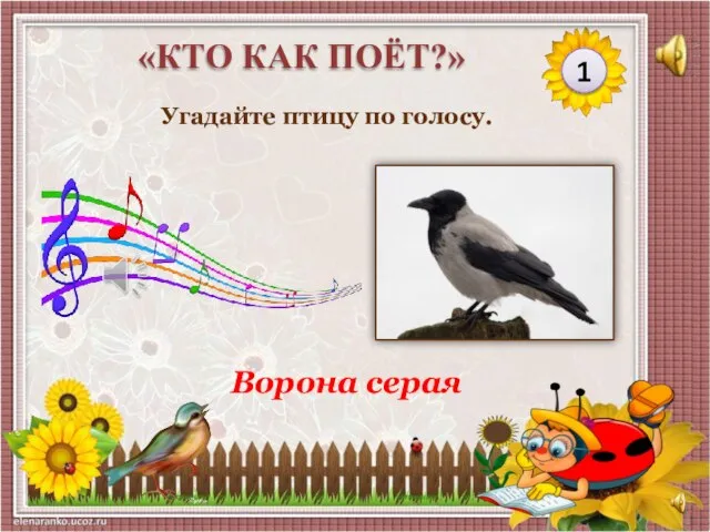 Ворона серая Угадайте птицу по голосу. 1 «КТО КАК ПОЁТ?»