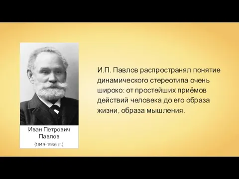 И.П. Павлов распространял понятие динамического стереотипа очень широко: от простейших приёмов действий